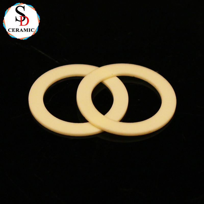 High Precision Technical 99% Alumina Washer Ceramic Sealing Ring