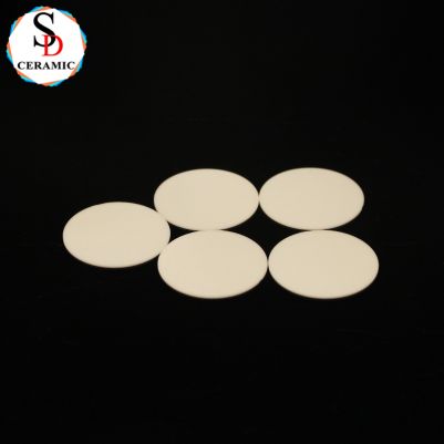 Electrical Insulating 95% 99% Al2O3 Alumina Ceramic Disc/Wafer/Ring