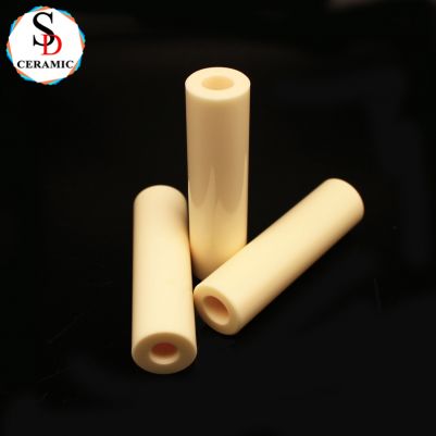 Technology Ceramic Alumina Ceramic Plunger Magnetic Pump