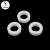 Mechanical Application Zirconium Oxide/Zirconia/Zro2/Zirconia Oxide Ceramic Seal Rings